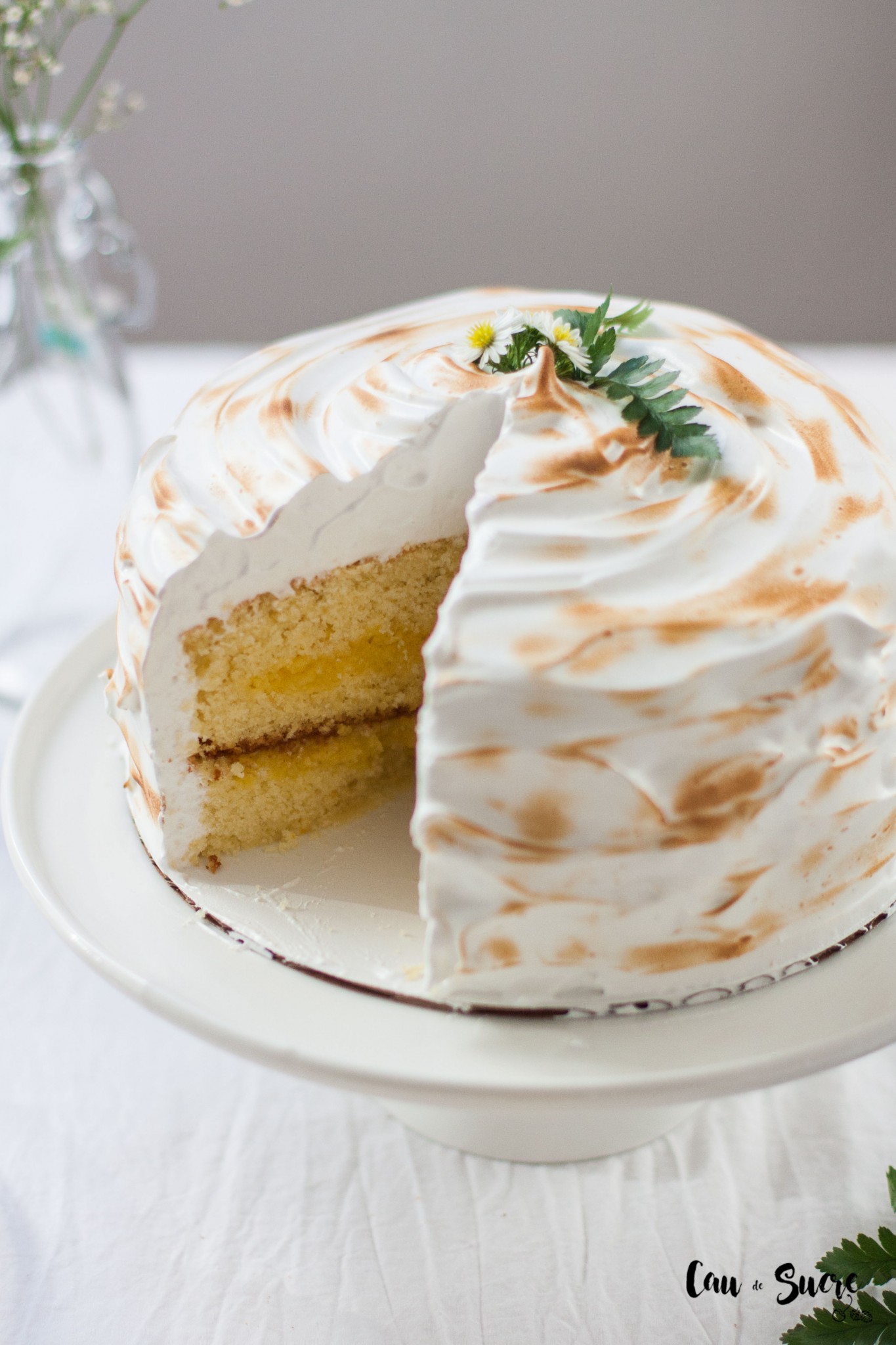 cake-lemon-meringue-18