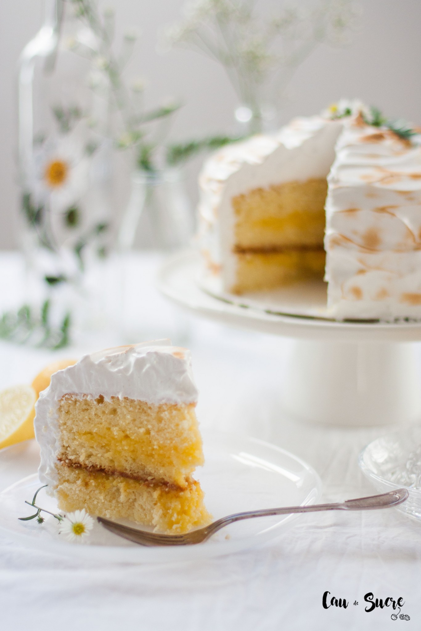 cake-lemon-meringue-22