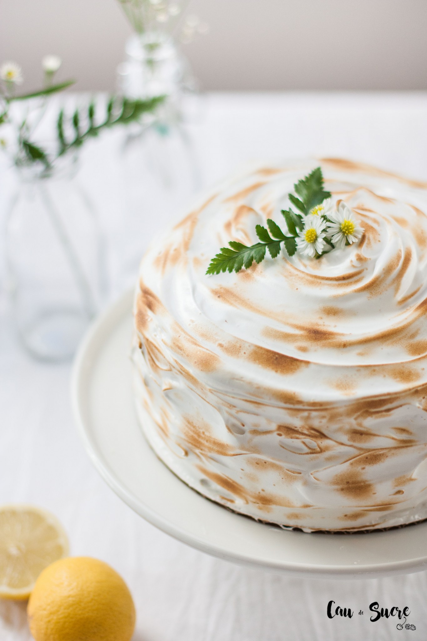 cake-lemon-meringue-4