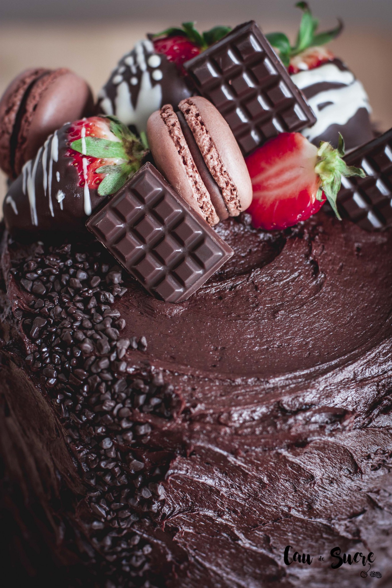 Decadent_chocolate_strawberry_cake-26