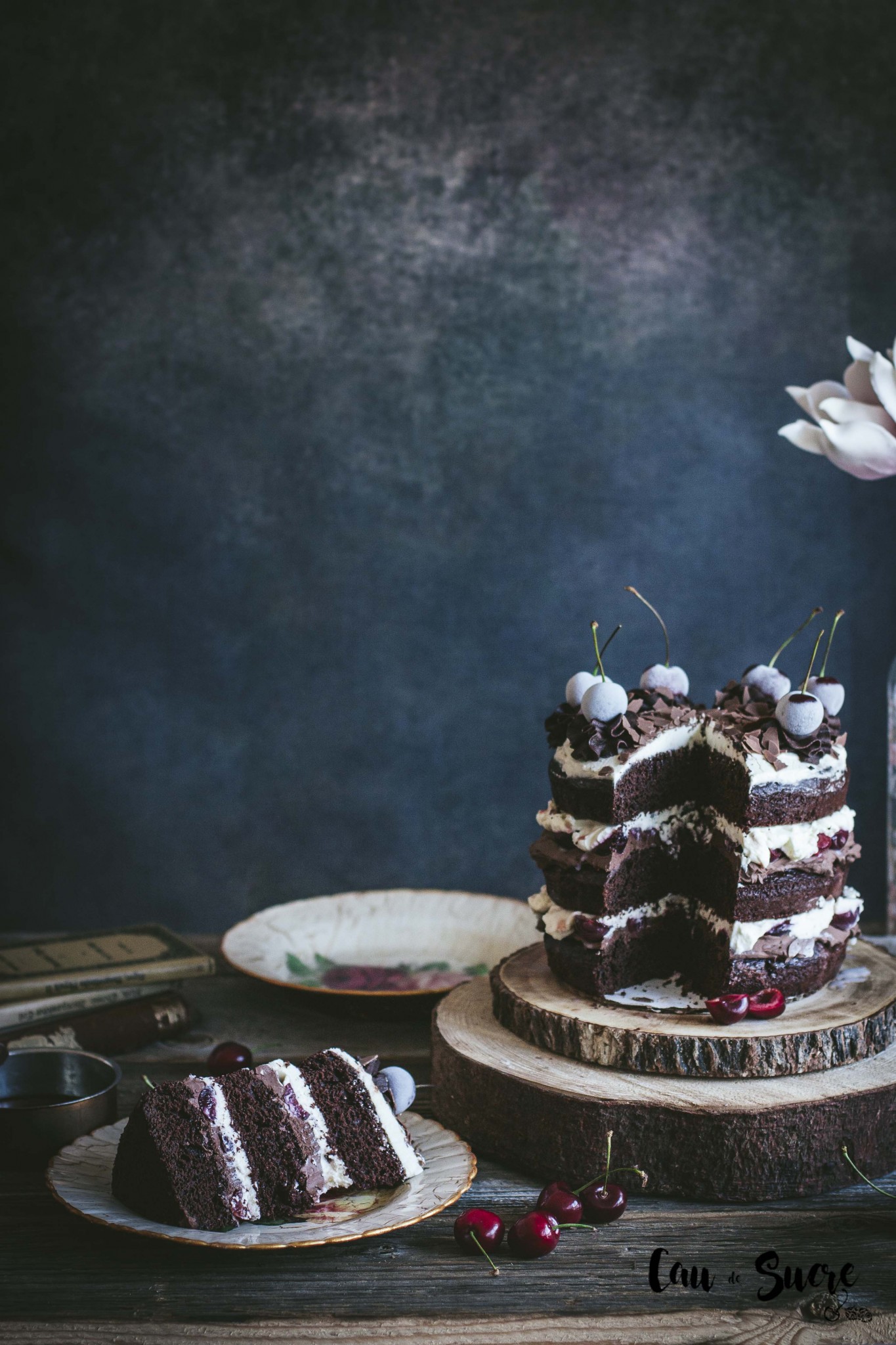 black_forest_layer_cake-17