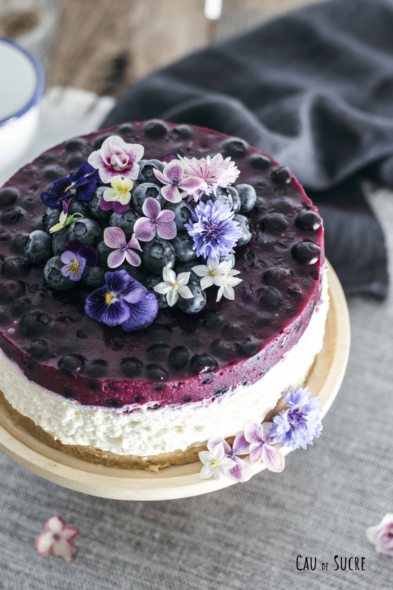 Vegan cheesecake with blueberries, easy recipe! | Biotona